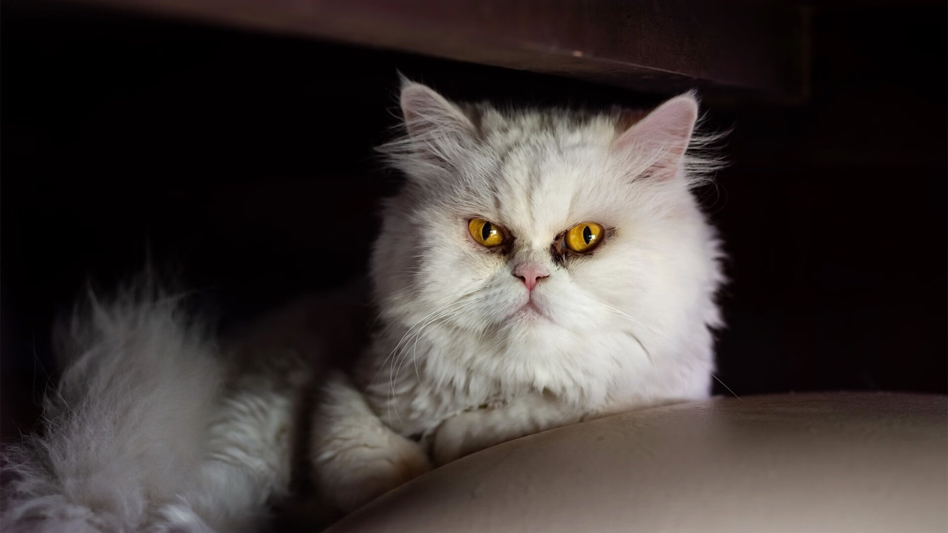 KAIYUN 中国大陆-_极地冰川徒步：感受大自然的震撼_，极地冰川主要在南极还是北极